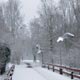 Ponti in inverno