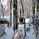 Rembrandtpark di Inverno