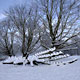 Rembrandtpark di Inverno