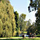 Il laghetto al Vondelpark