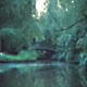 Vondelpark Ponte in Natura di Amsterdam