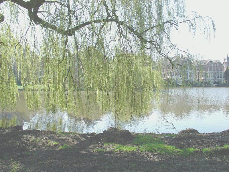 Vondelpark - Clicca sull'immagine per ingrandirla