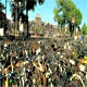 Bici alla Centraal Station