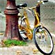 Bici Zebrata