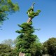 albero strano a Den haag