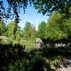 selva L'Aia