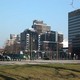 commerciale The Hague