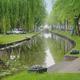 Edam bel canale verde - Clicca sull'immagine per ingrandirla