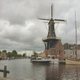 haarlem mulino - Clicca sull'immagine per ingrandirla