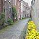 Le strade di Haarlem