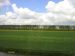 hoorn distese - Clicca sull'immagine per ingrandirla
