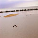 Zuiderzee