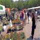 Fiori ad Amstelveld