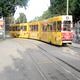 Tram olandese